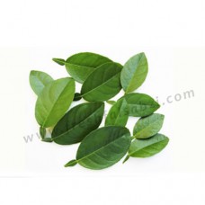 Lemon Leaf - Nimbu Patta